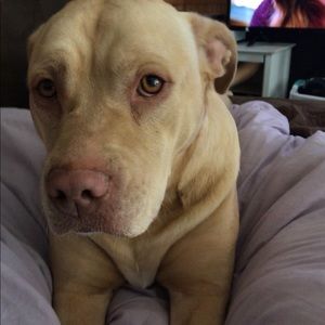 Meet your Posher, Christa